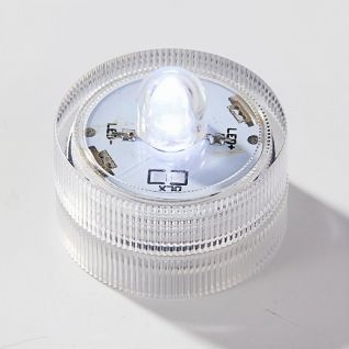 Submersible LED Lights